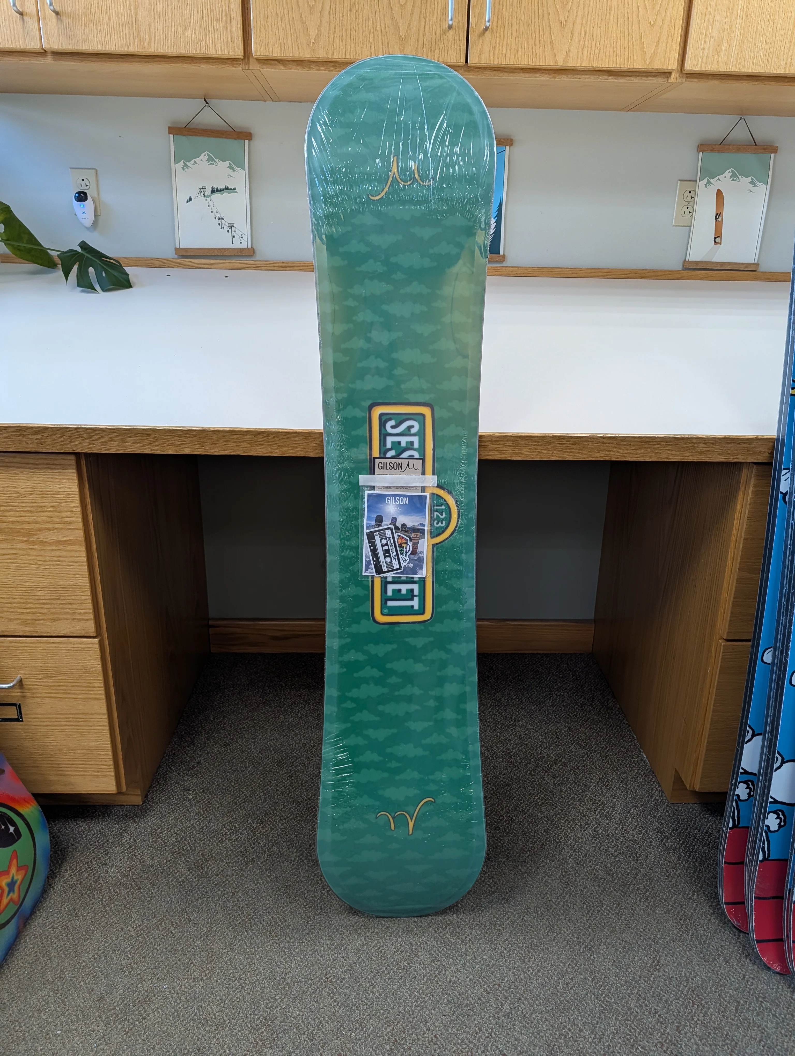 GILSON Closeout #3462 – Cookie Monster 160W (NEW) - Image 2